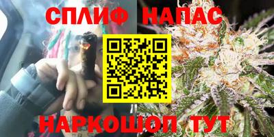 эйфоретик Аша